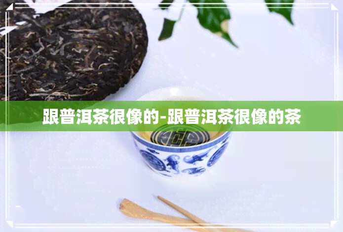 跟普洱茶很像的-跟普洱茶很像的茶