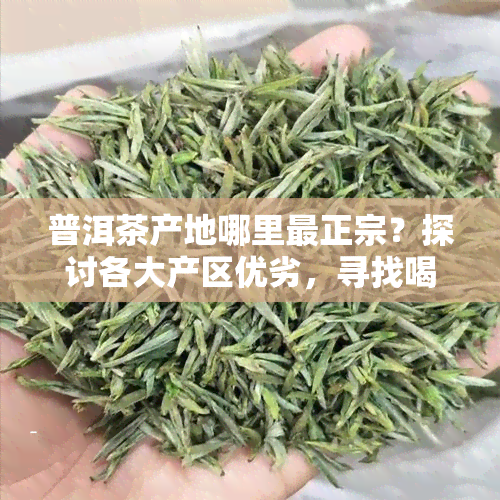 普洱茶产地哪里最正宗？探讨各大产区优劣，寻找喝的普洱茶