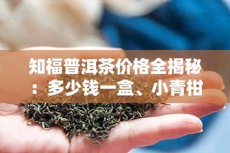 知福普洱茶价格全揭秘：多少钱一盒、小青柑、普洱知春茶价目一览