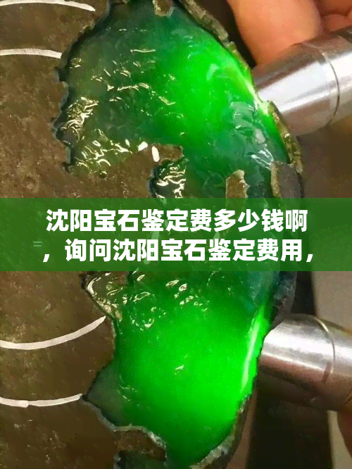 沈阳宝石鉴定费多少钱啊，询问沈阳宝石鉴定费用，你需要知道的关键信息！