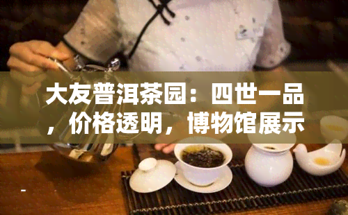 大友普洱茶园：四世一品，价格透明，博物馆展示，茶园风光，亲手体验制作，一站式服务！