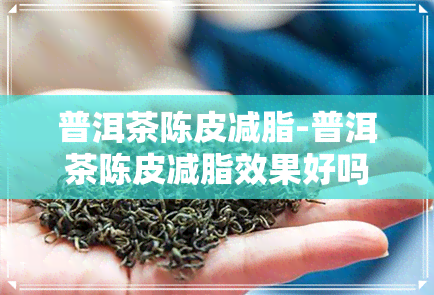 普洱茶陈皮减脂-普洱茶陈皮减脂效果好吗