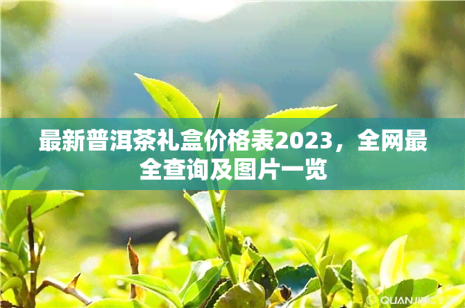 最新普洱茶礼盒价格表2023，全网最全查询及图片一览