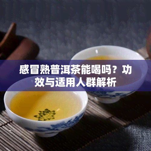 感冒熟普洱茶能喝吗？功效与适用人群解析