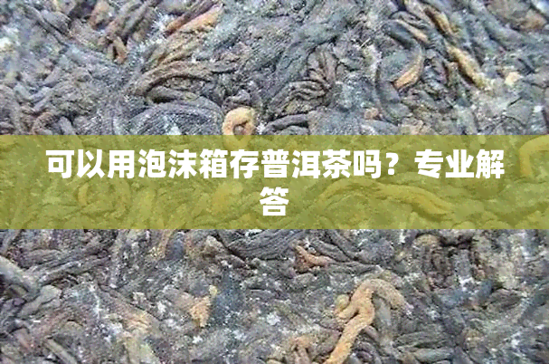 可以用泡沫箱存普洱茶吗？专业解答