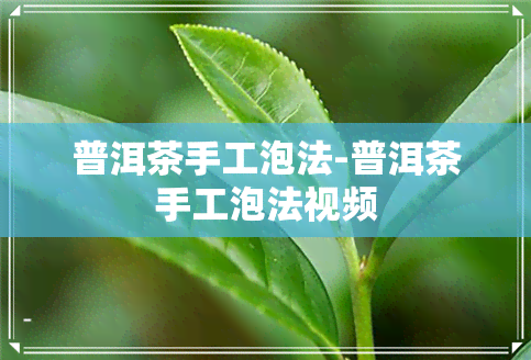 普洱茶手工泡法-普洱茶手工泡法视频