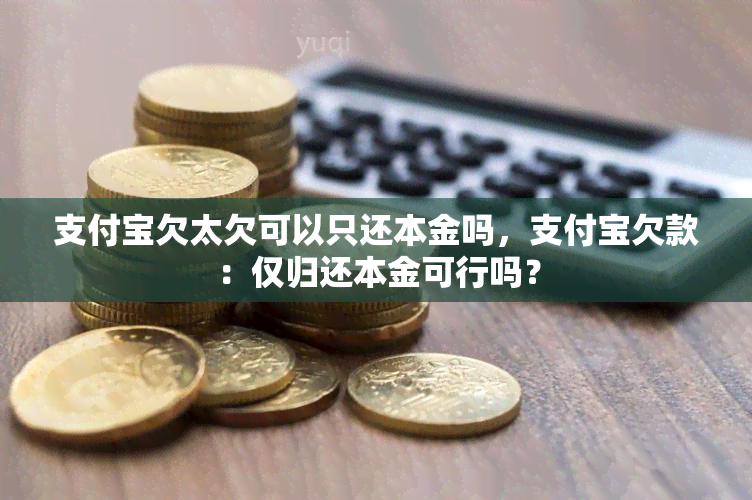 支付宝欠太欠可以只还本金吗，支付宝欠款：仅归还本金可行吗？