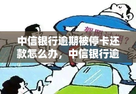 中信银行逾期被停卡还款怎么办，中信银行逾期停卡还款指南：解决方案详解