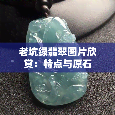 老坑绿翡翠图片欣赏：特点与原石