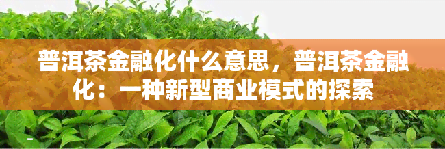 普洱茶金融化什么意思，普洱茶金融化：一种新型商业模式的探索