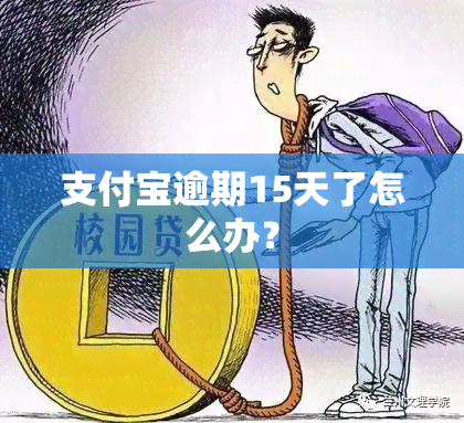 支付宝逾期15天了怎么办？