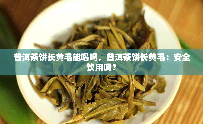 普洱茶饼长黄毛能喝吗，普洱茶饼长黄毛：安全饮用吗？