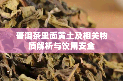 普洱茶里面黄土及相关物质解析与饮用安全