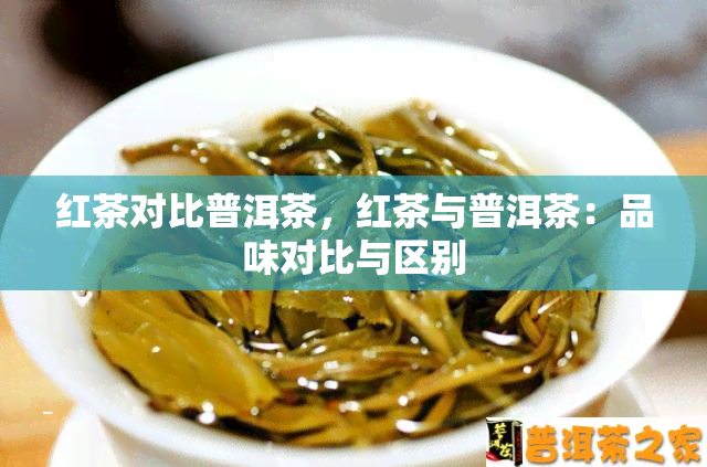 红茶对比普洱茶，红茶与普洱茶：品味对比与区别