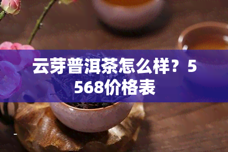 云芽普洱茶怎么样？5568价格表