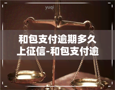 和包支付逾期多久上-和包支付逾期是什么意思