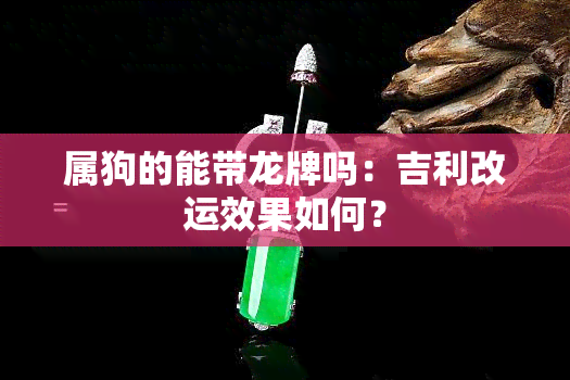 属狗的能带龙牌吗：吉利改运效果如何？