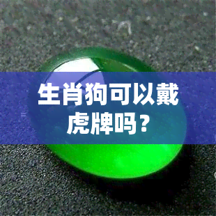 生肖狗可以戴虎牌吗？