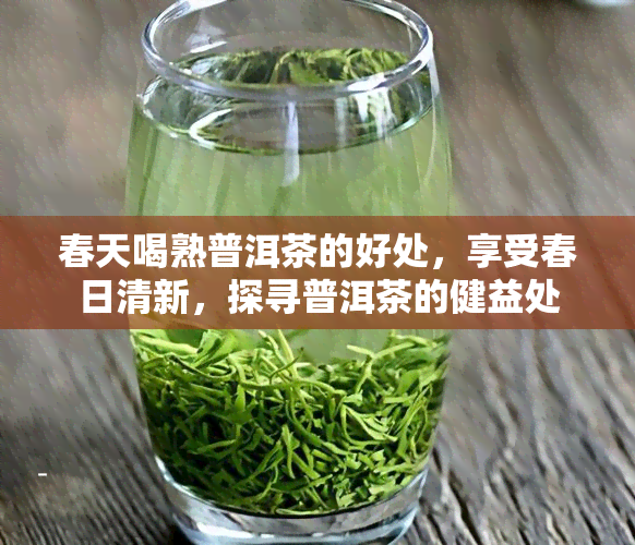 春天喝熟普洱茶的好处，享受春日清新，探寻普洱茶的健益处