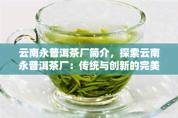 云南永普洱茶厂简介，探索云南永普洱茶厂：传统与创新的完美结合