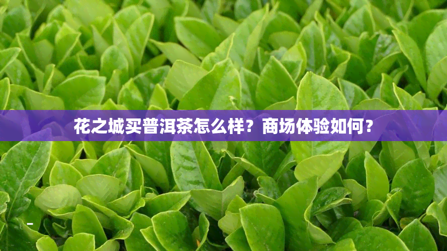 花之城买普洱茶怎么样？商场体验如何？