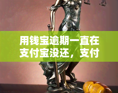 用钱宝逾期一直在支付宝没还，支付宝逾期支付：用钱宝贷款一直未还