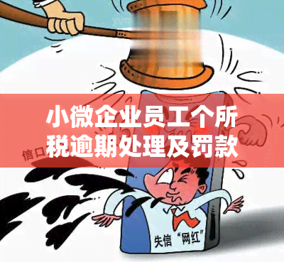 小微企业员工个所税逾期处理及罚款办法