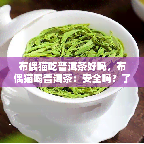 布偶猫吃普洱茶好吗，布偶猫喝普洱茶：安全吗？了解这些关键信息！