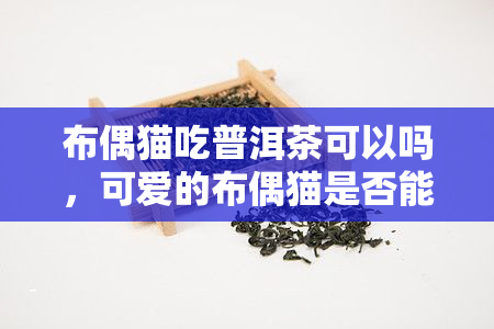 布偶猫吃普洱茶可以吗，可爱的布偶猫是否能享用普洱茶？