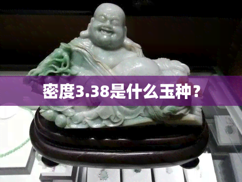 密度3.38是什么玉种？