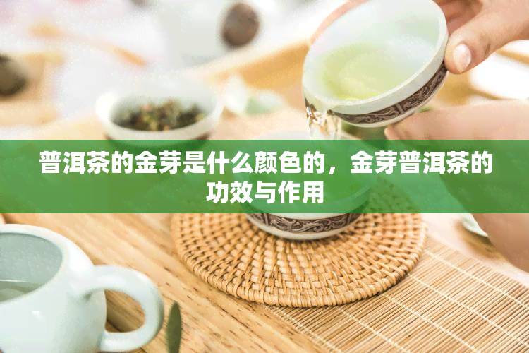 普洱茶的金芽是什么颜色的，金芽普洱茶的功效与作用