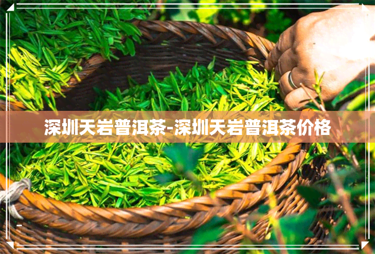 深圳天岩普洱茶-深圳天岩普洱茶价格