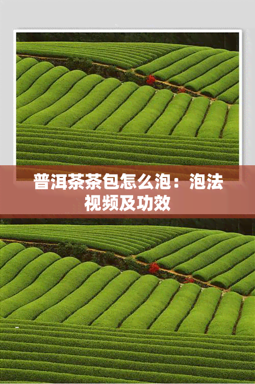 普洱茶茶包怎么泡：泡法视频及功效