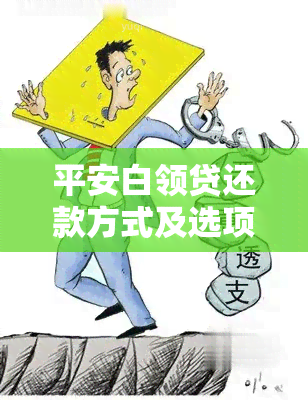 平安白领贷还款方式及选项