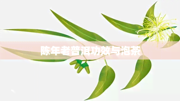 陈年老普洱功效与泡茶