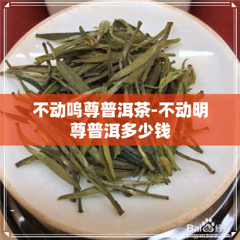 不动鸣尊普洱茶-不动明尊普洱多少钱