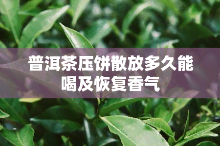 普洱茶压饼散放多久能喝及恢复香气