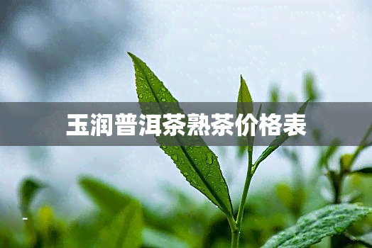 玉润普洱茶熟茶价格表