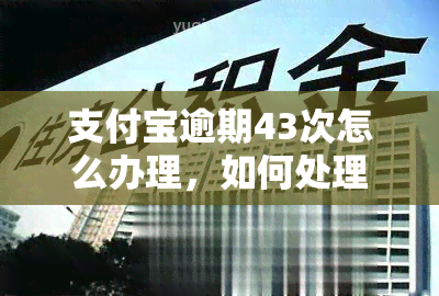 支付宝逾期43次怎么办理，如何处理支付宝逾期43次问题？