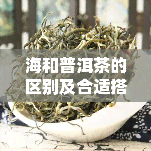 海和普洱茶的区别及合适搭配