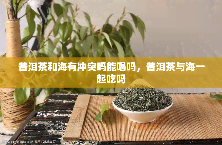 普洱茶和海有冲突吗能喝吗，普洱茶与海一起吃吗