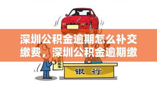 深圳公积金逾期怎么补交缴费，深圳公积金逾期缴费如何补交？一键解读补缴流程！