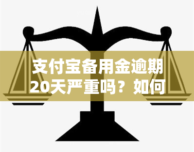 支付宝备用金逾期20天严重吗？如何还款及后果？