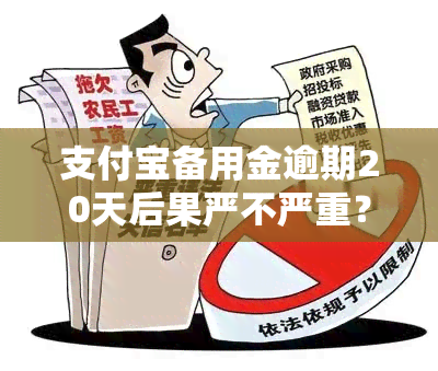 支付宝备用金逾期20天后果严不严重？支付宝备用金逾期30多天会有影响，还能领取吗？