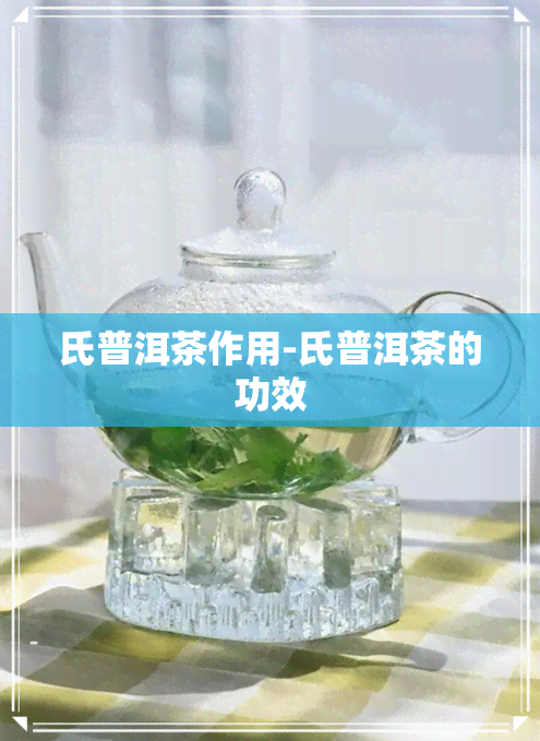 氏普洱茶作用-氏普洱茶的功效