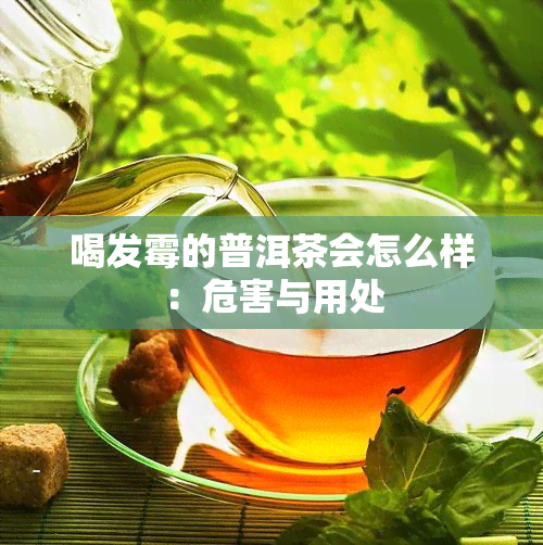 喝发霉的普洱茶会怎么样：危害与用处