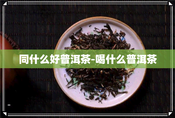 同什么好普洱茶-喝什么普洱茶