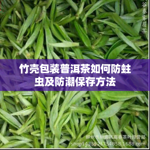 竹壳包装普洱茶如何防蛀虫及防潮保存方法