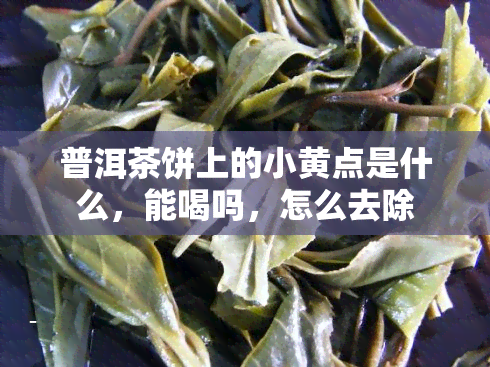 普洱茶饼上的小黄点是什么，能喝吗，怎么去除