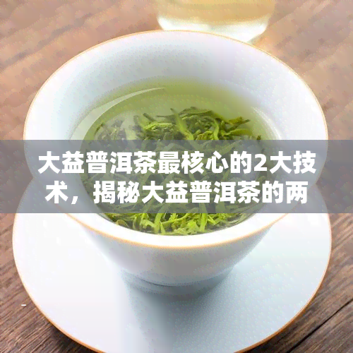 大益普洱茶最核心的2大技术，揭秘大益普洱茶的两项核心技术